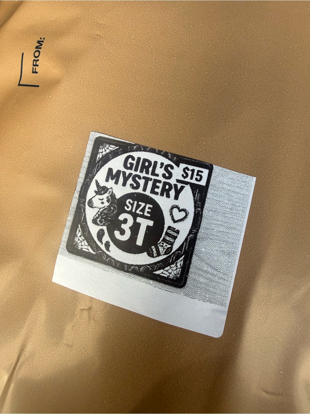 Girls' Mystery Bundle Size 3T